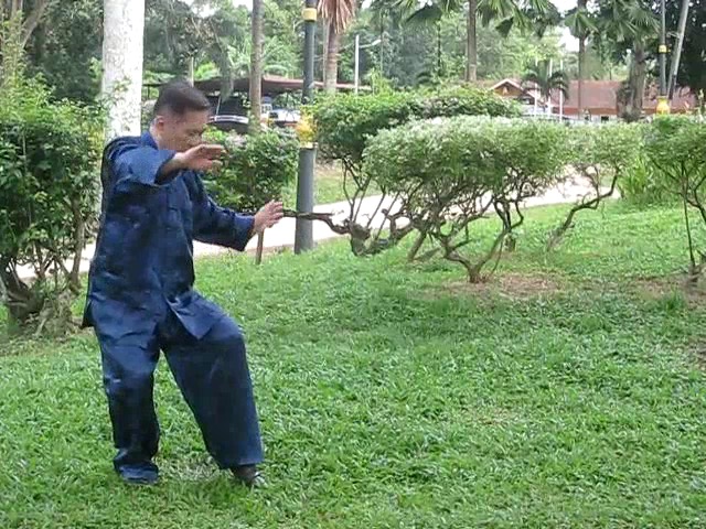 Wu Yu Xiang Style Taijiquan